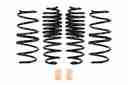 PRO-KIT PERFORMANCE SPRINGS (SET OF-1
