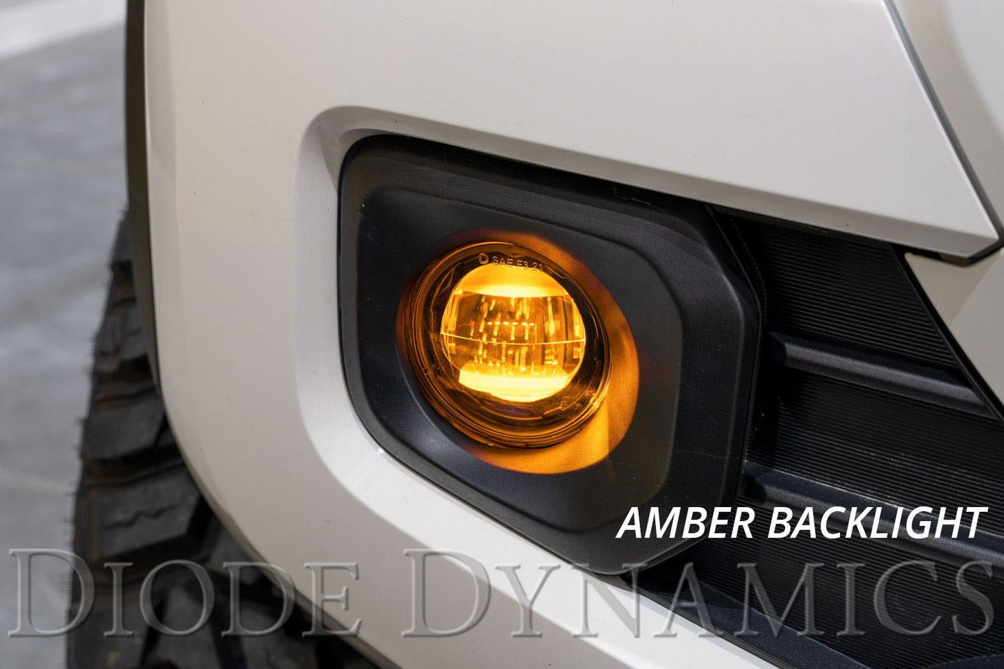 Elite Series Type B Fog Lamps (Pair)