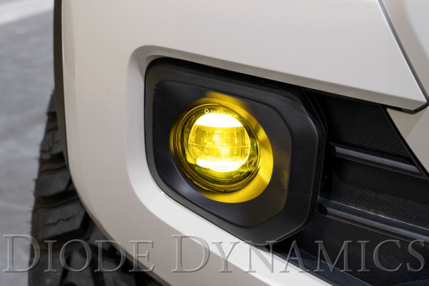 Elite Series Type B Fog Lamps (Pair)