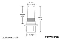 P13W HP48 LED Bulbs